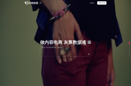 灰豚数据